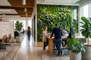 Moderne kantoorruimte met groene planten en een groenwand die ontmoeting en welzijn van medewerkers bevordert
